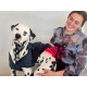 PhotonicLights Canine Therapy Tec
