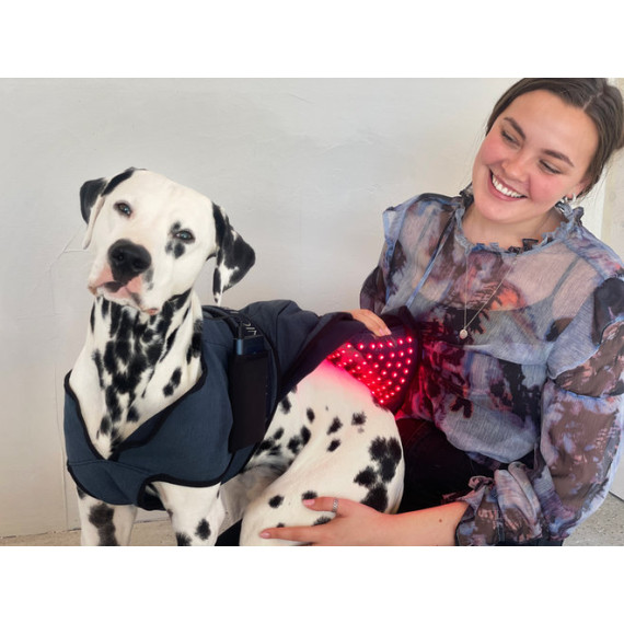 PhotonicLights Canine Therapy Tec