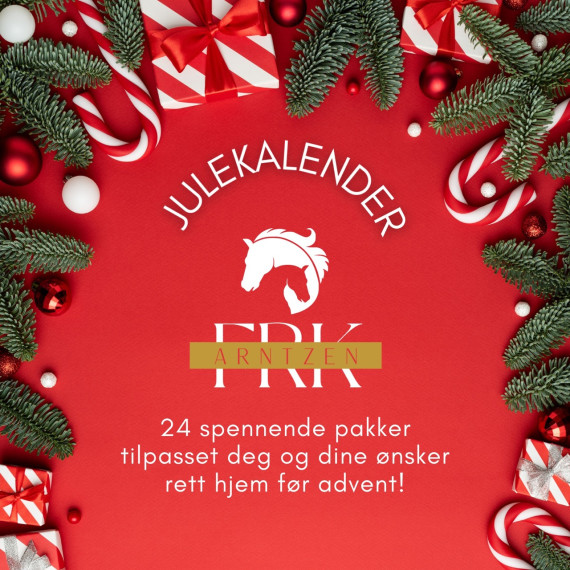 Frk. Arntzen Julekalender Large