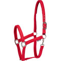 HorseGuard Jewel julegrime