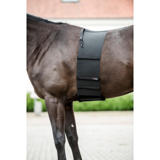 Body Shield Catago