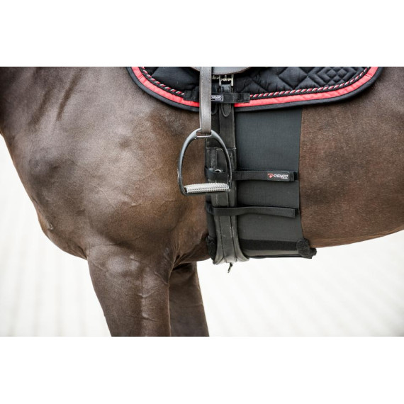 Body Shield Catago