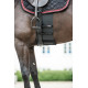 Body Shield Catago