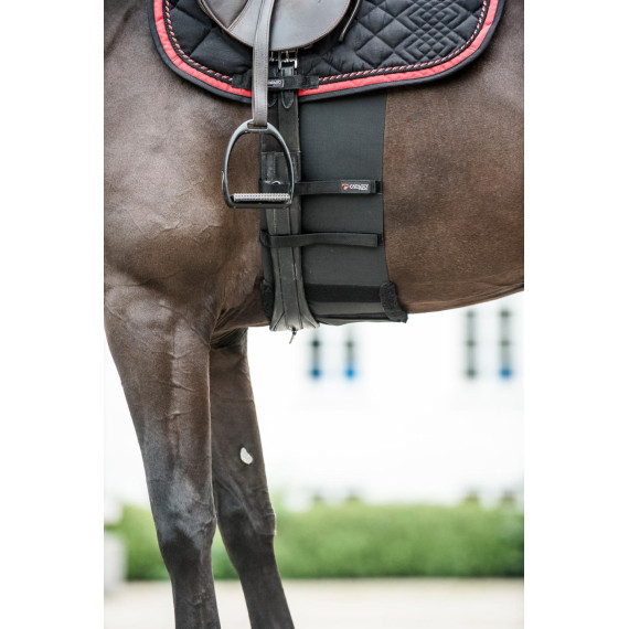 Body Shield Catago