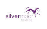 Silvermoor